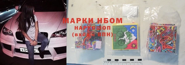 мет Алексин