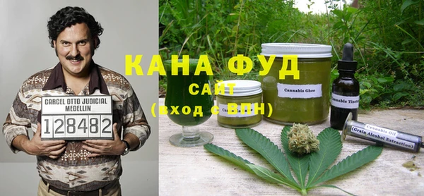 мет Алексин